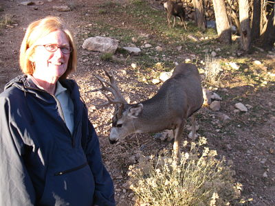 Mule deer (& my dear) in grand canyon village