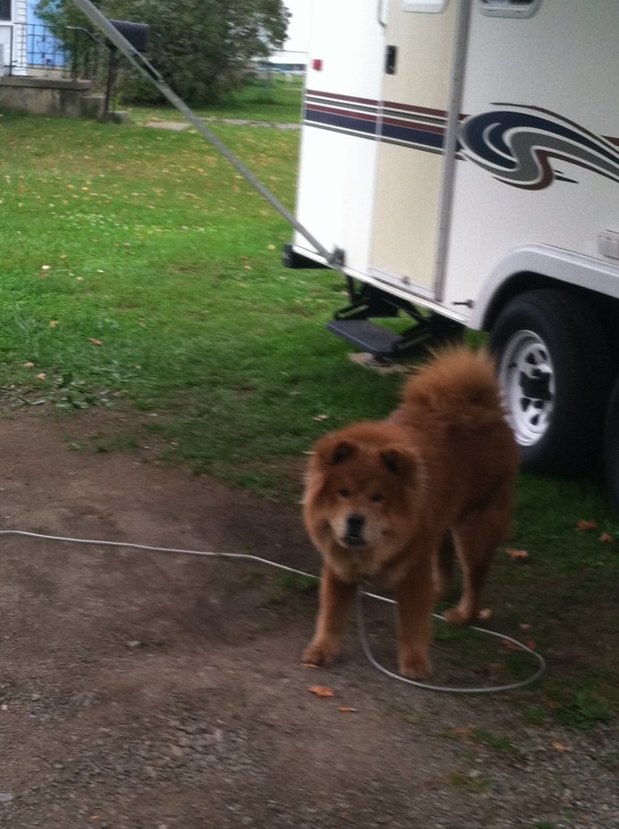 Chumlee supervising winterizing the camper