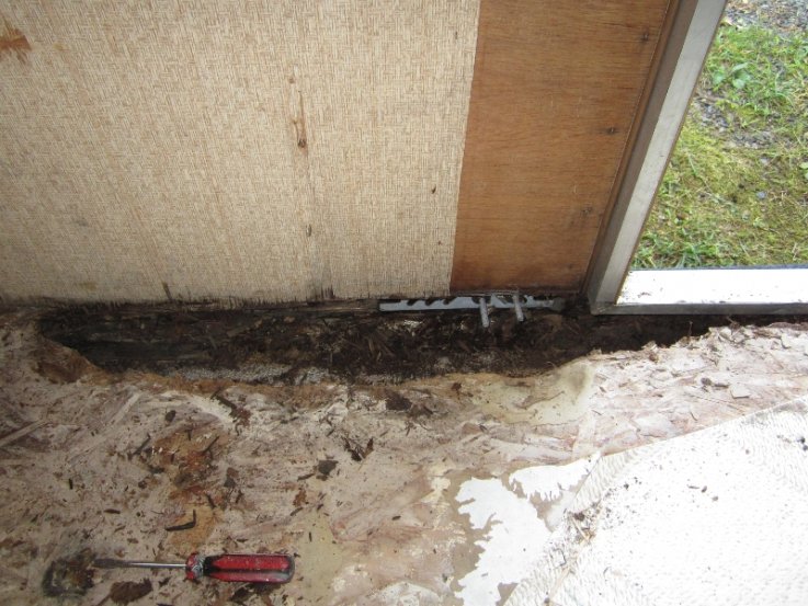 Hmm, I wonder why my door sags?  The wood at the bottom of the wall is GONE.  It's like freeze dried mulch in there.  But, not wet, hallelujah!