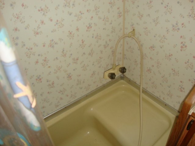 The shower needs some help... (not a good photo)